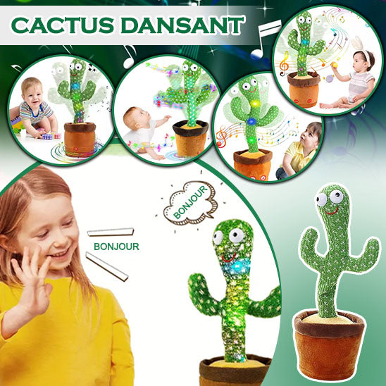 Jeu Cacti-Mélodie™